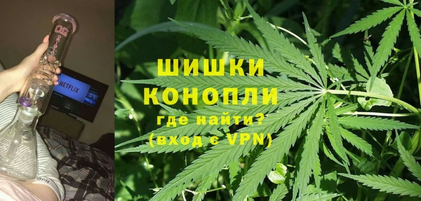 молекула духа Алзамай