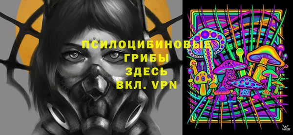 дмт Алексин
