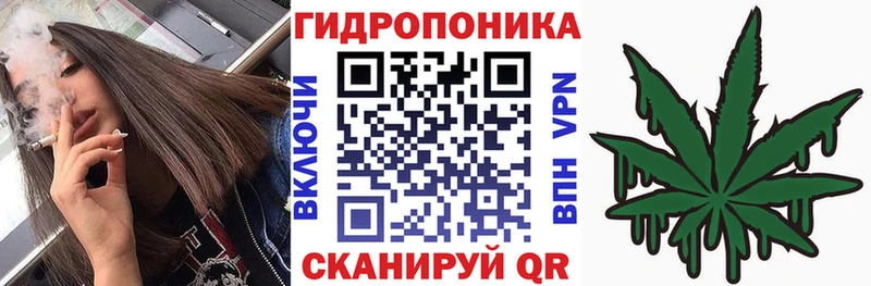 Шишки марихуана SATIVA & INDICA как найти закладки Новомичуринск